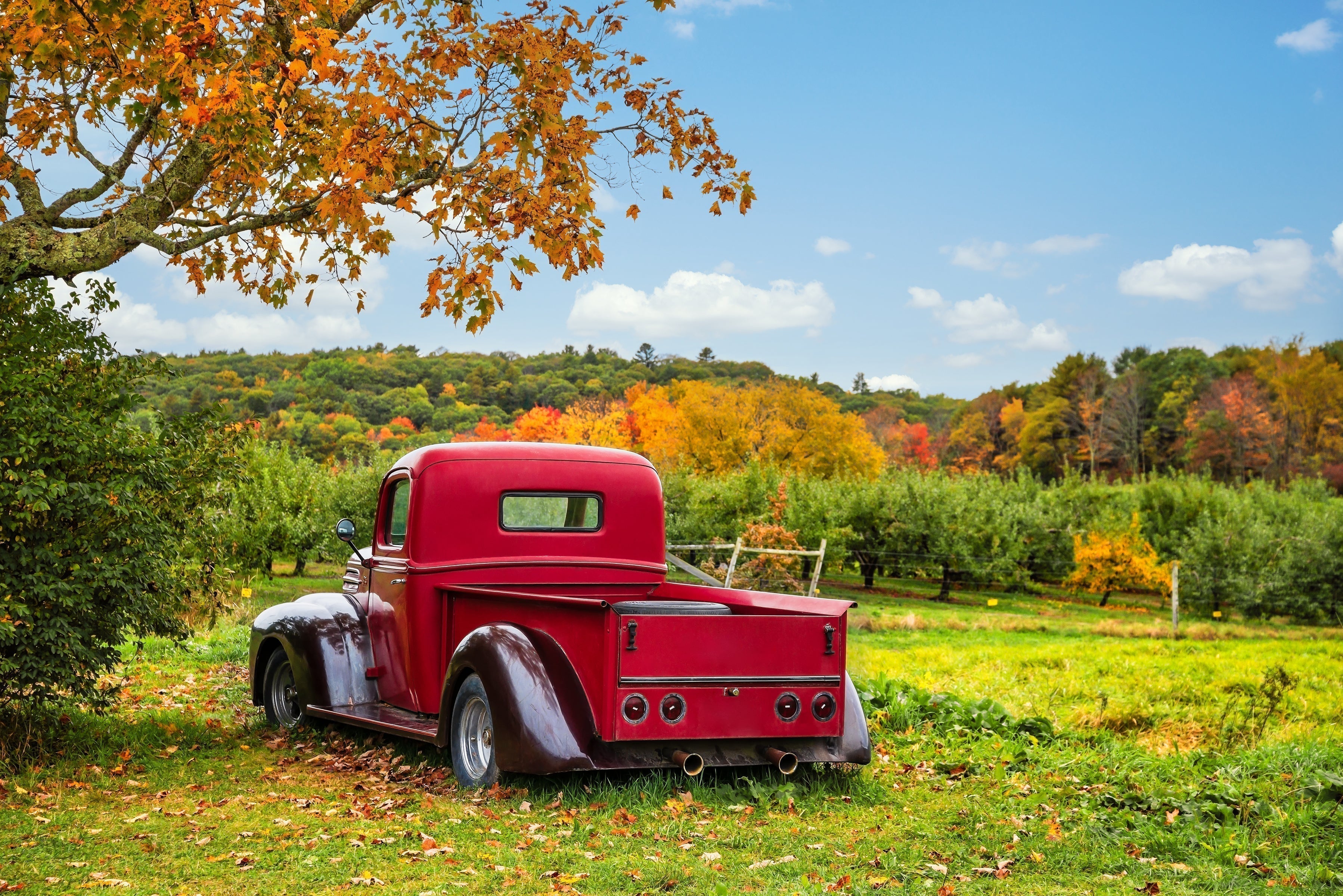 Best Antique Stores Near Hamilton, Ontario (Local’s Guide)