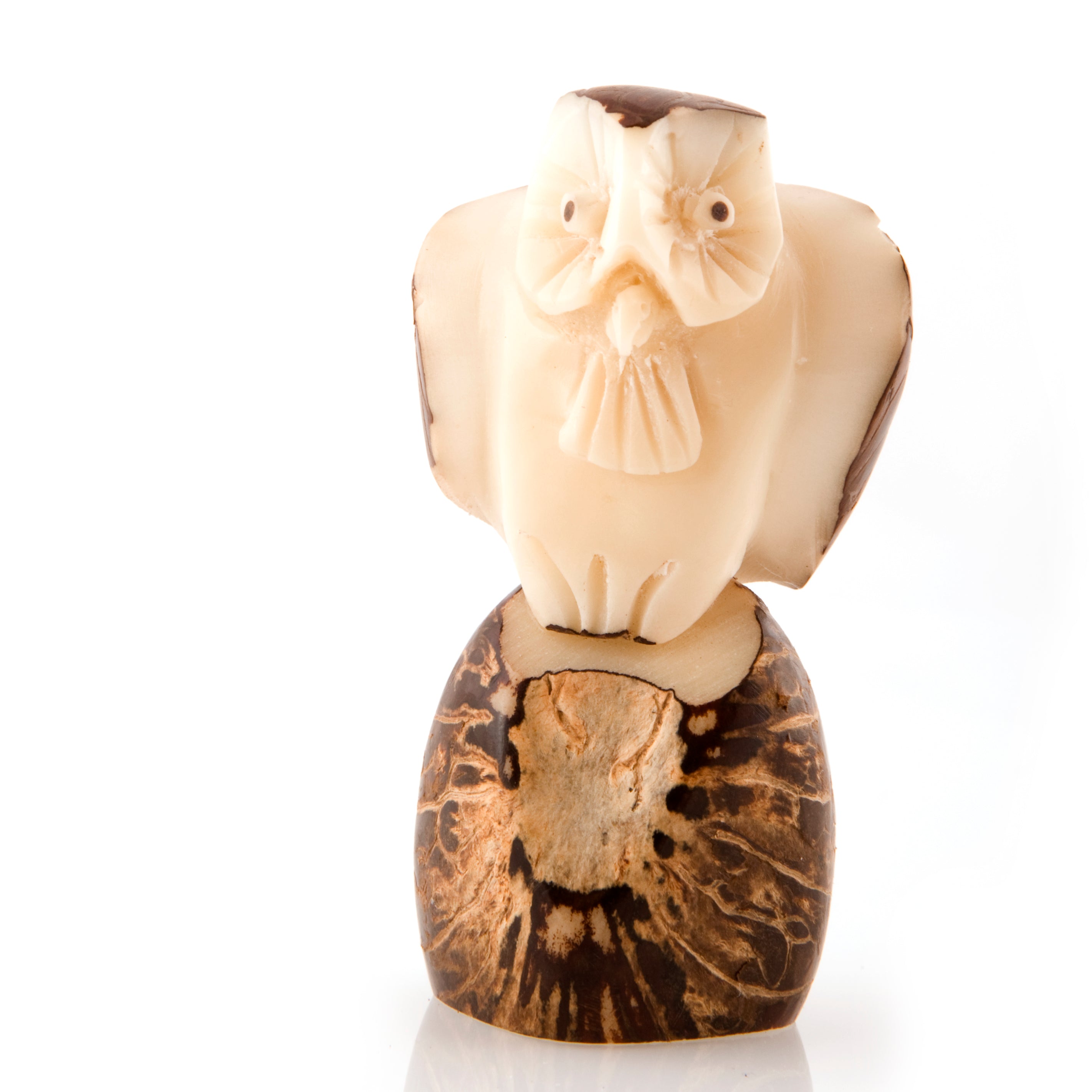 Ivory identification