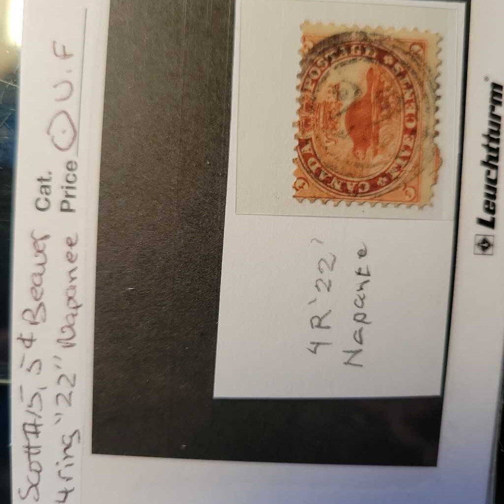 Beaver 5C Canadian Stamp " Napanee" (Jef) Scott #15 4 ring 22