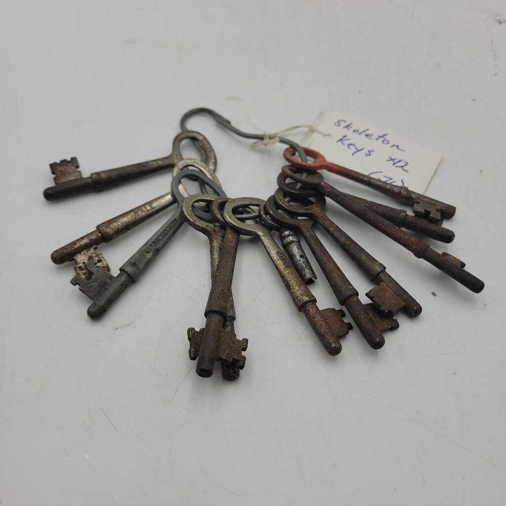 Skeleton Keys X12 (JL)