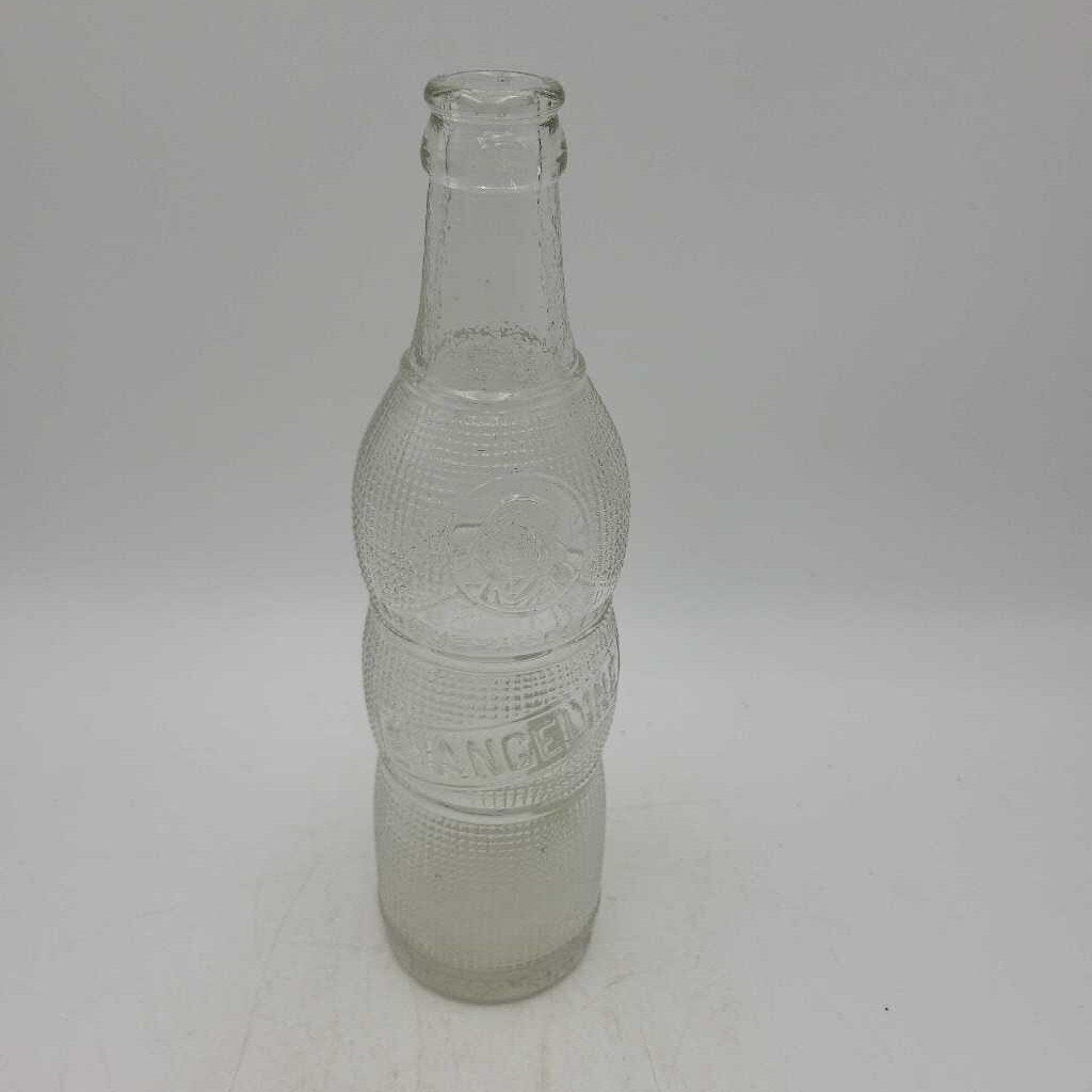 Evangeline Soda Bottle (JAS)
