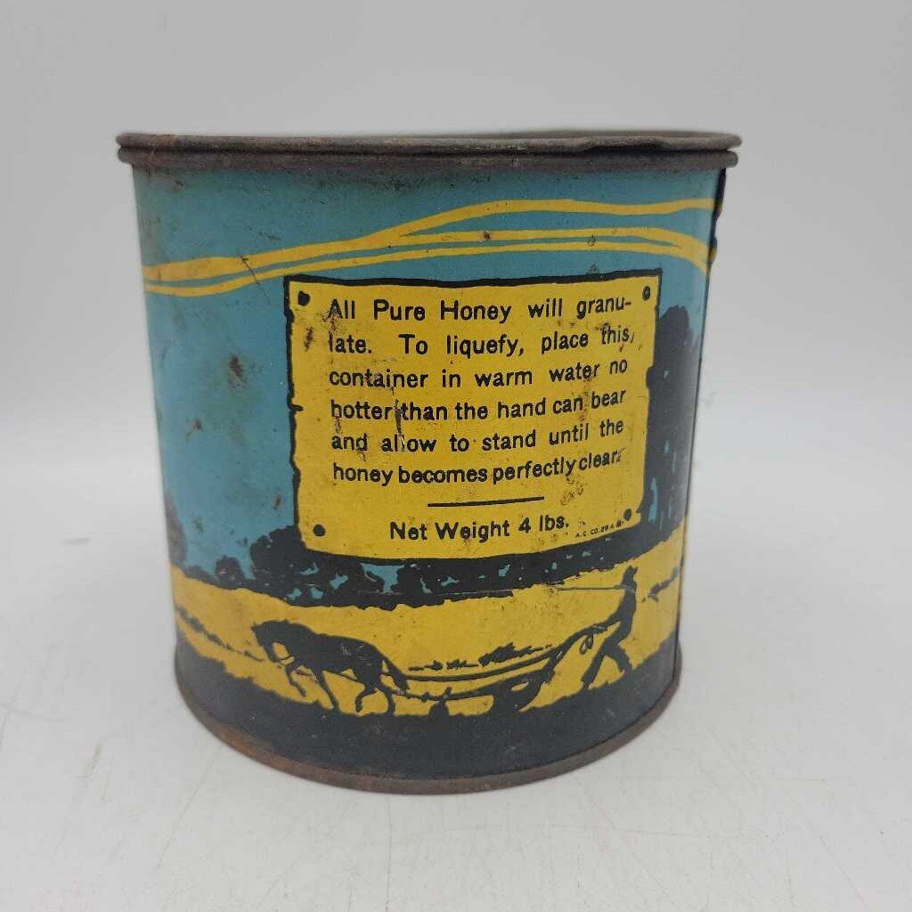 Pure Canadian Honey Pail Ashton St. Thomas Ontario (DR)