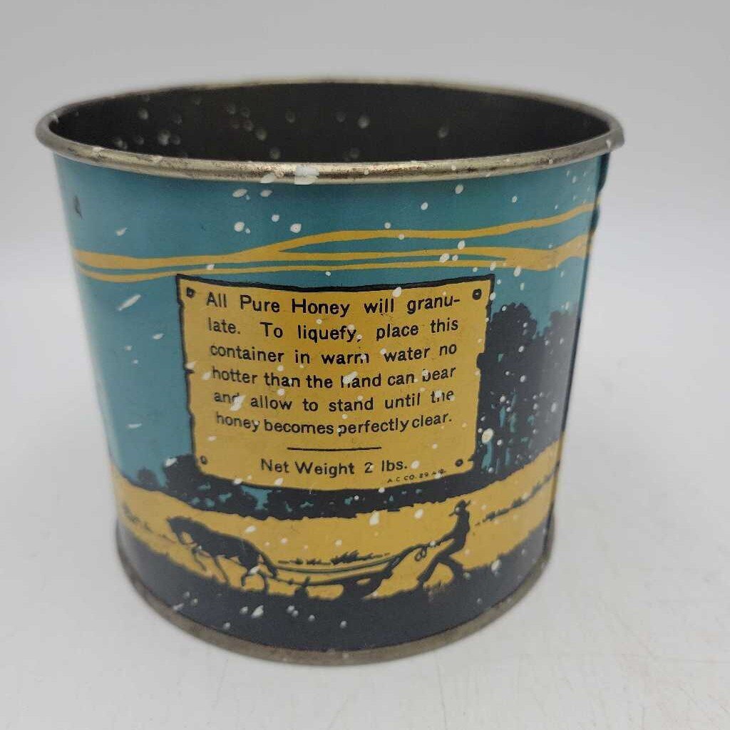 Pure Canadian Honey Tin Princeton (Jef)