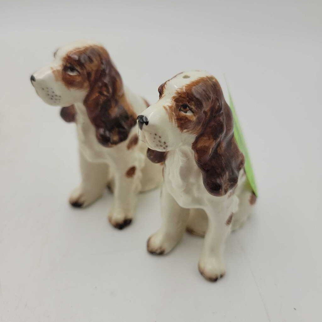 English Spaniel Salt & Pepper Sitting (JAS)