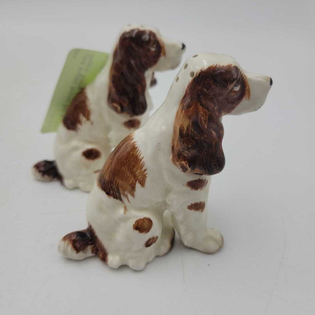 English Spaniel Salt & Pepper Sitting (JAS)