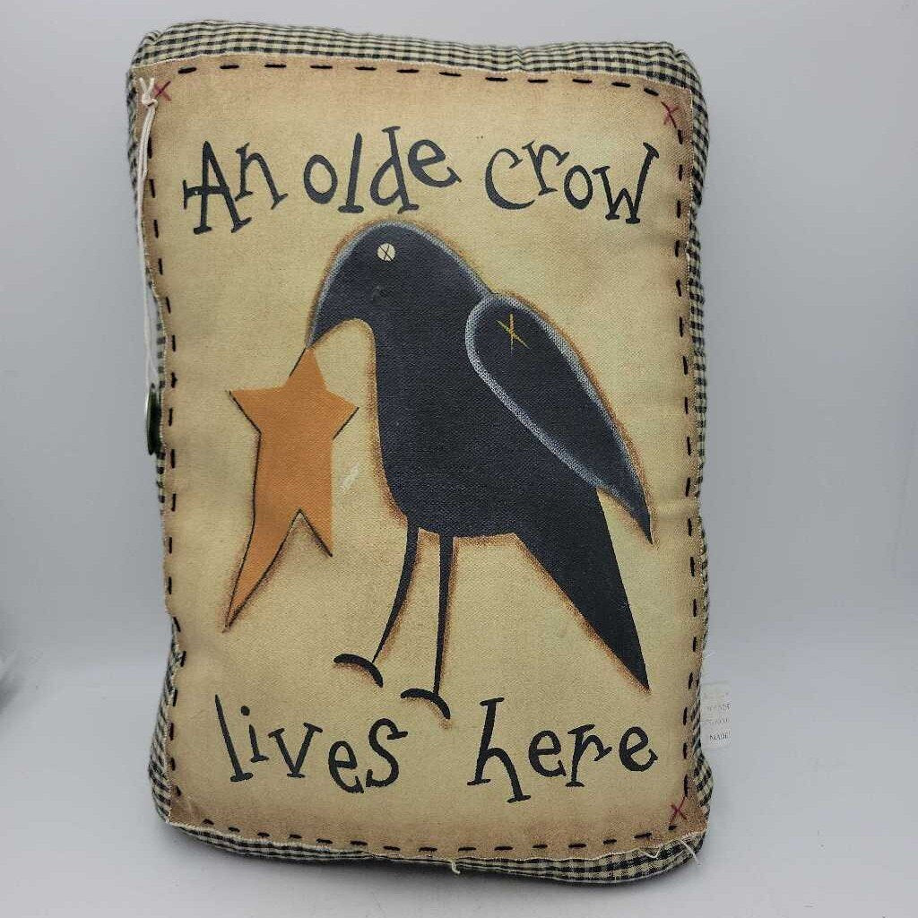 Decorative Pillow An olde Crow lives here (RB)