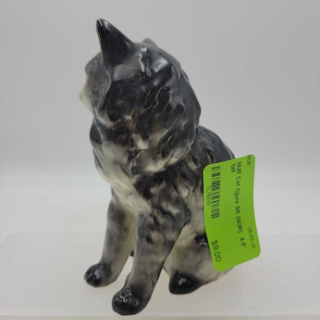 Cat figure SR (NUR)
