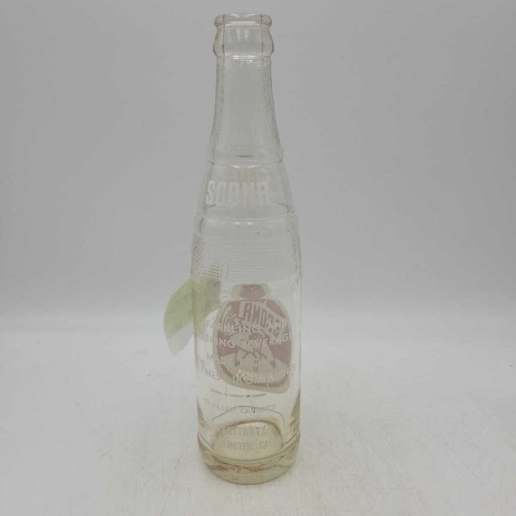 Scona Beverage Soda Pop Calgary 10 Oz (JEF)