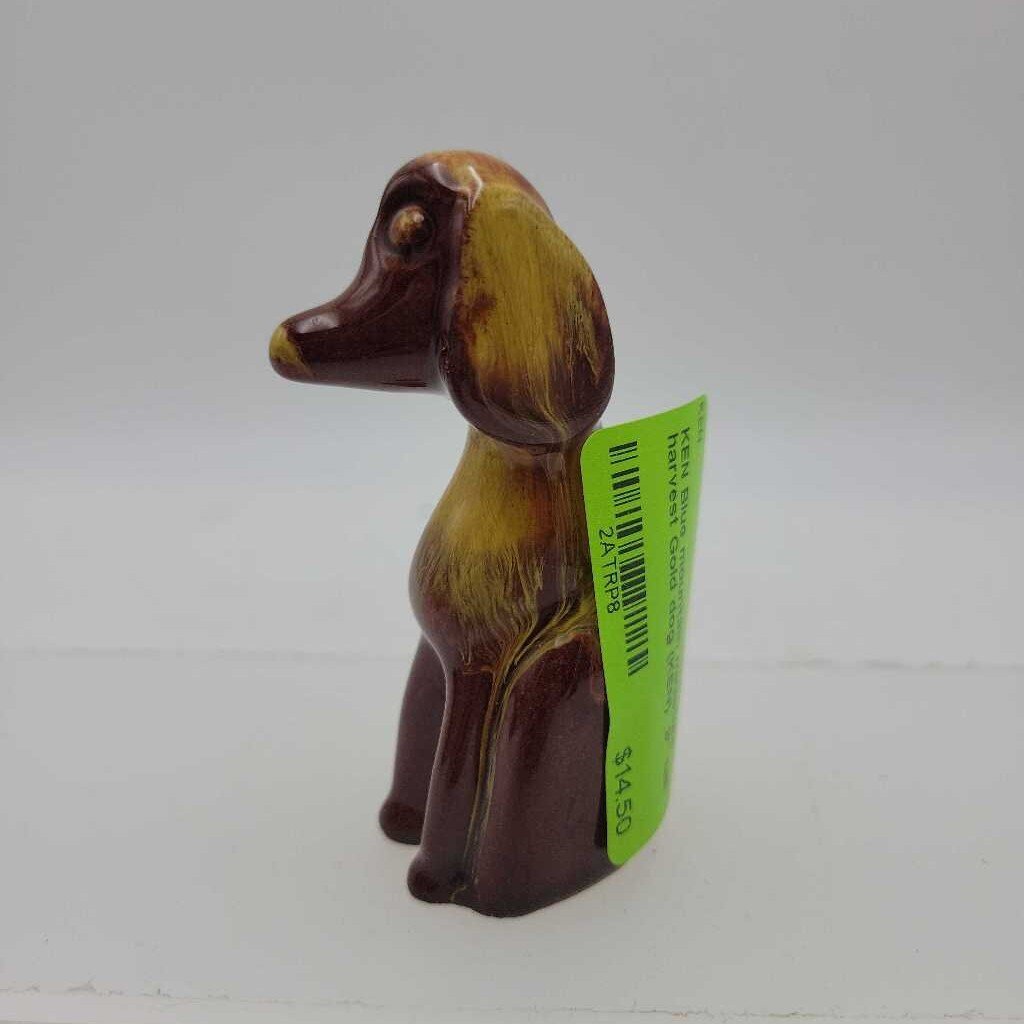 Blue mountain miniature harvest Gold dog (KEN)