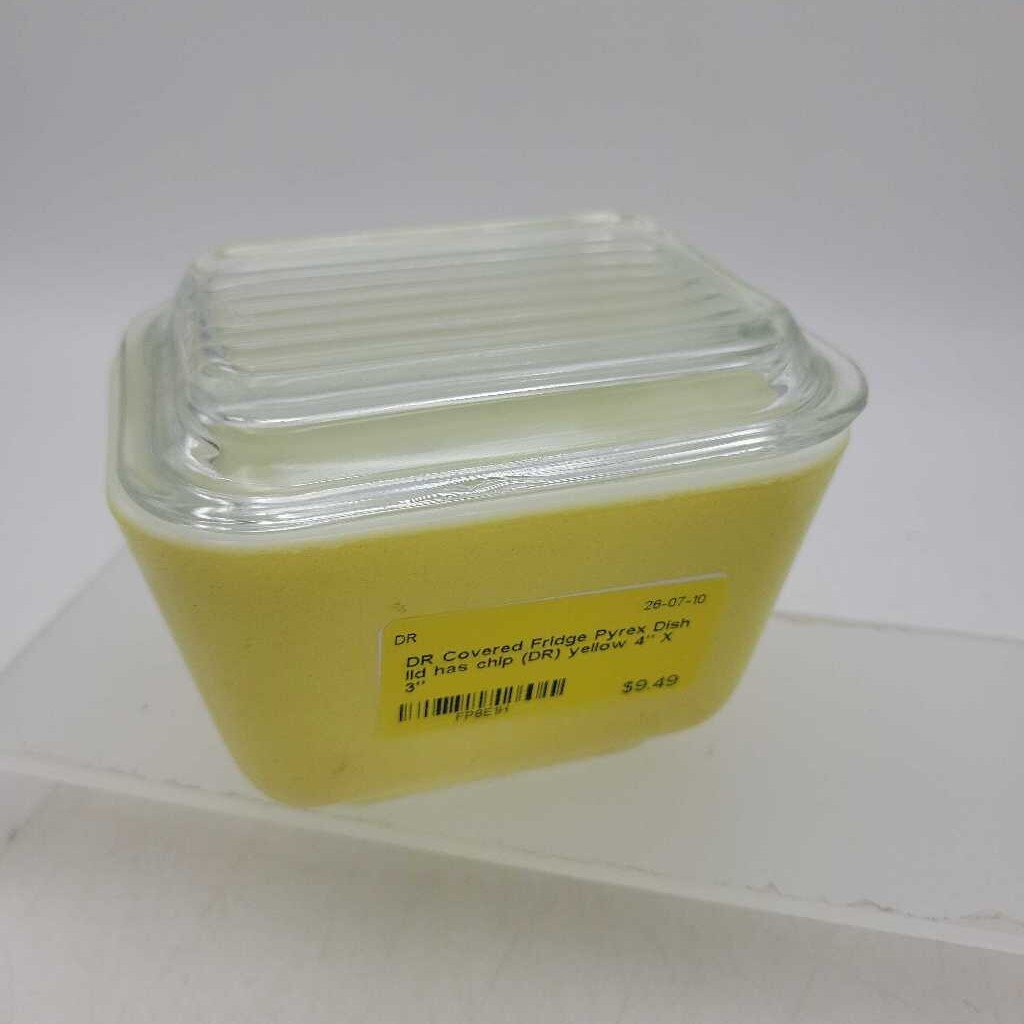 Covered Fridge Pyrex Dish lid has chip (DR)