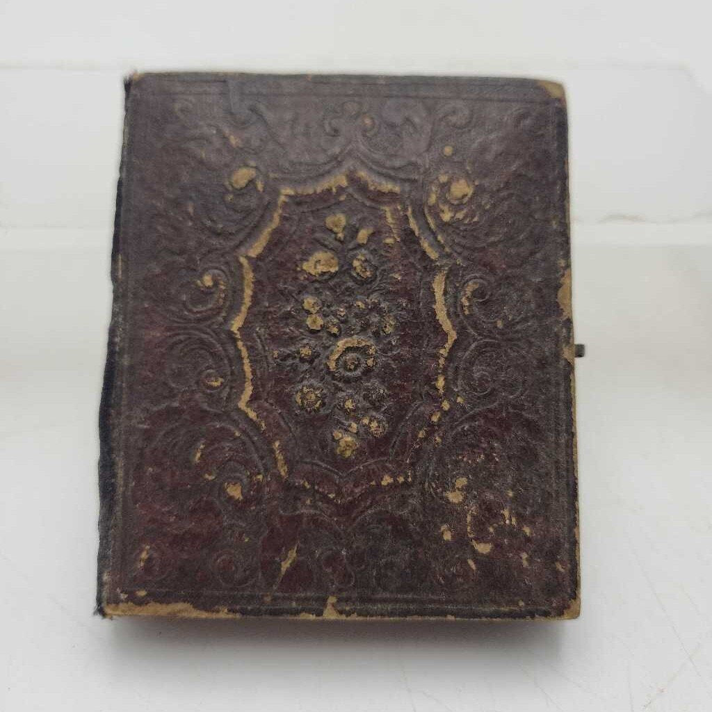 Antique Daguerreotype Cased Victorian Portrait (JL)
