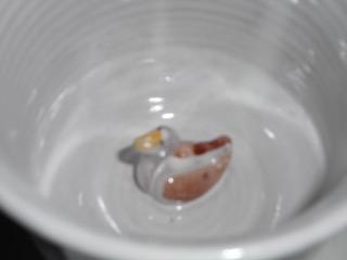 CANADIAN POTTERY SERIES - TEA CUP SURPRISE