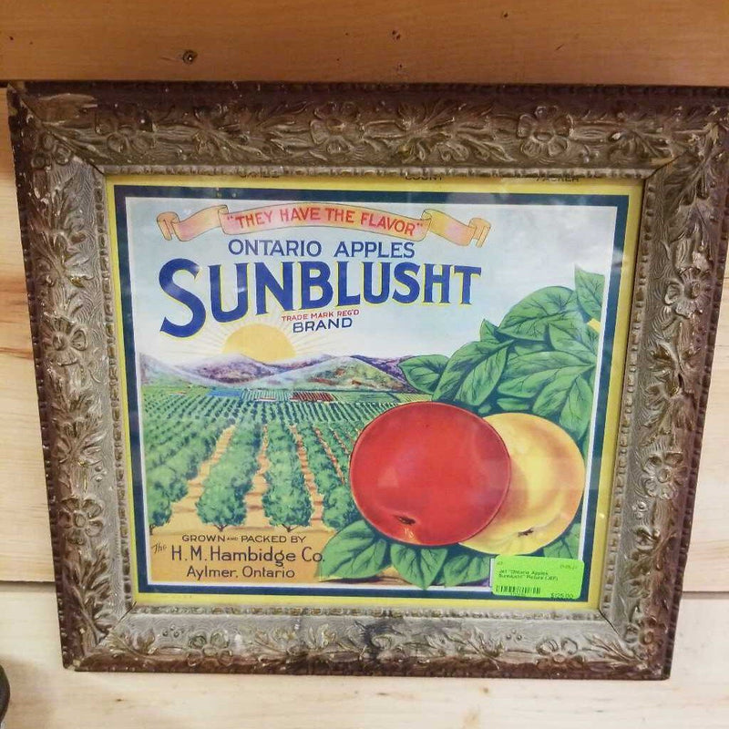 "Ontario Apples Sunblusht" Picture (JEF)