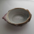 Shell dish (JAS)