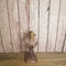 Antique Oil Lamp lantern (Jef)