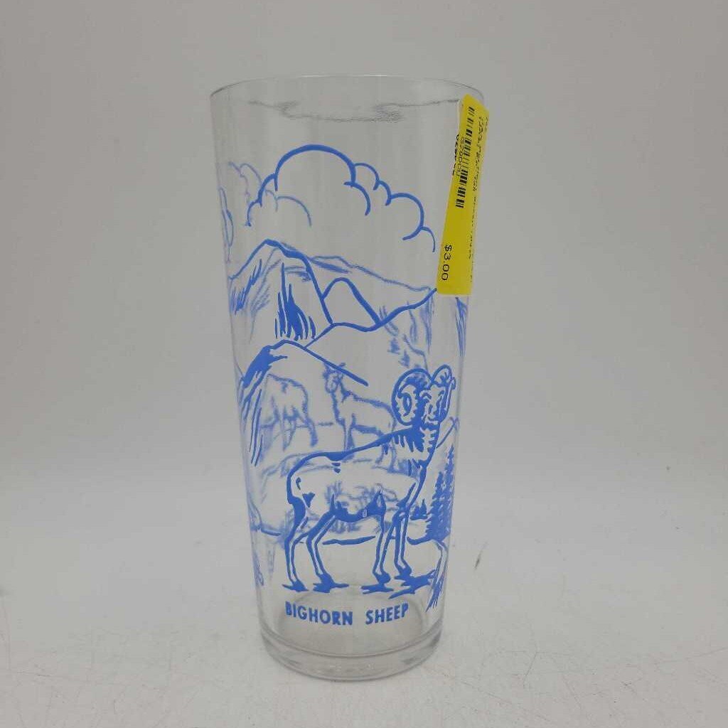 Big Horn Sheep Glass (JAS)