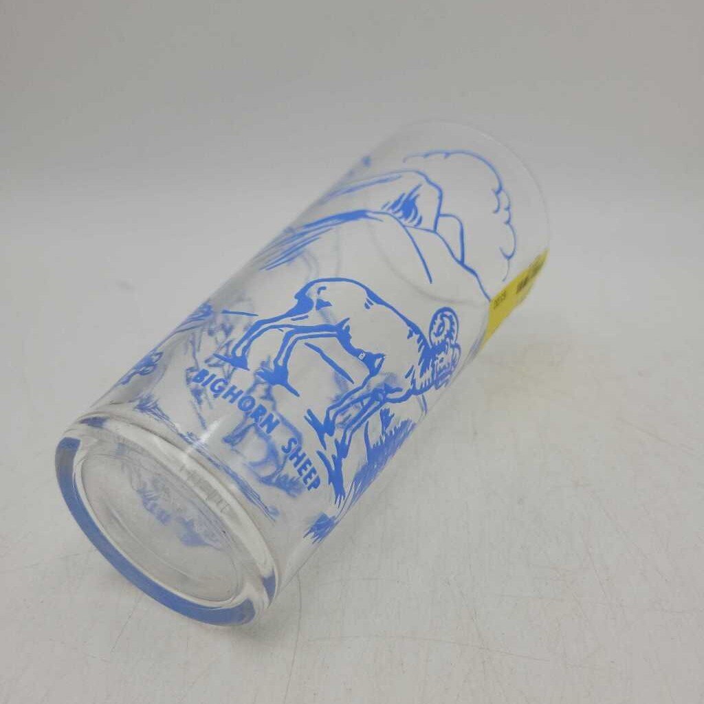 Big Horn Sheep Glass (JAS)