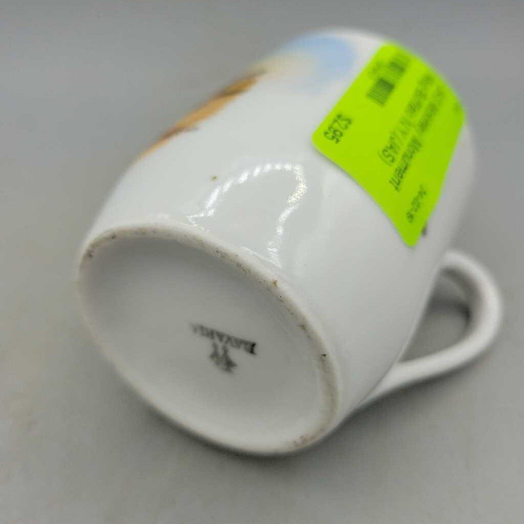 Mckinley Monument Mug Buffalo N.Y.(JAS)