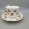Royal Albert Cup and Saucer Canada From Sea to Sea (TRE)