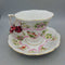 Royal Albert Canada Cup and Saucer (TRE)