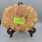 Hand Carved Wooden Burl Bowl Signed (JL)