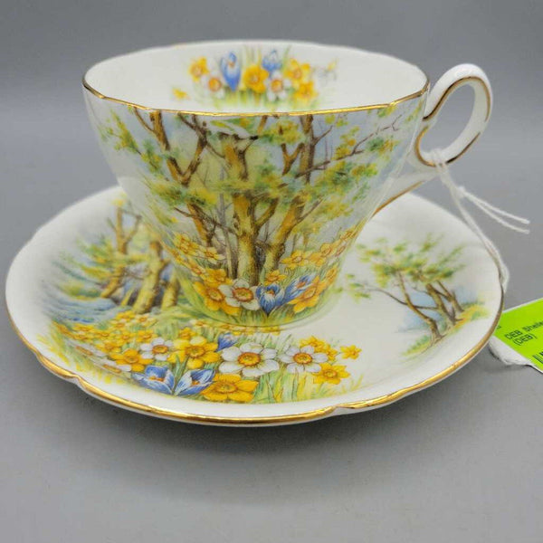 Shelley Cup/Saucer Daffodil Time (DEB)