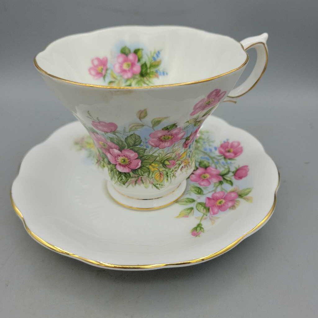 Royal Albert "Sunnyside Series" Petula (YVO) (406)