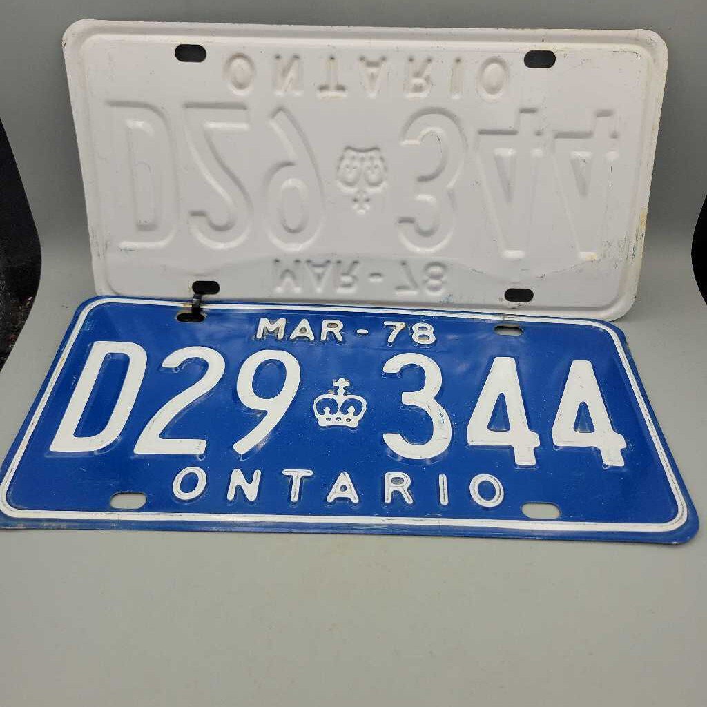 Pair of Mar 78 Ontario License Plates D29 344 (JAS)