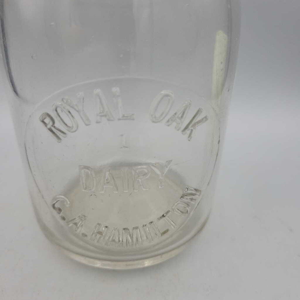 Royal Oak Dairy Milk bottle Pint Hamilton (JAS)