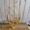 signed Chalet art glass basket (DMG) 9521