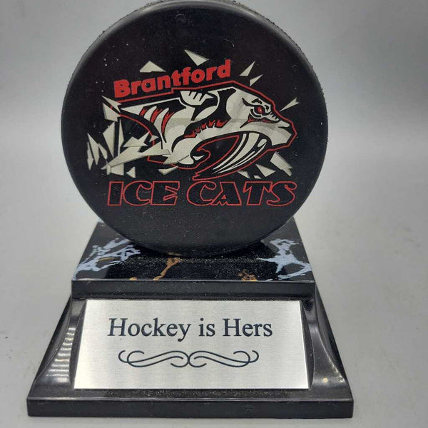 Brantford IceCats Hockey Puck Mounted (JAS)