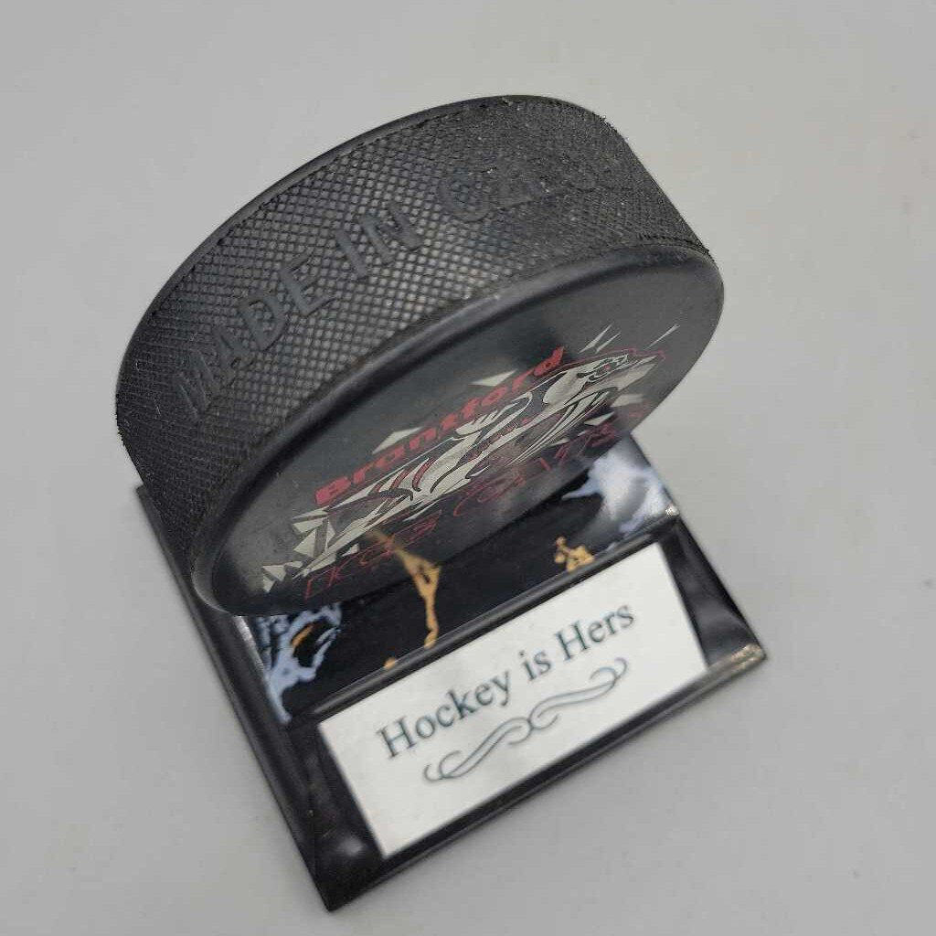 Brantford IceCats Hockey Puck Mounted (JAS)