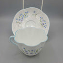 Shelley Teacup Blue rock (US2)