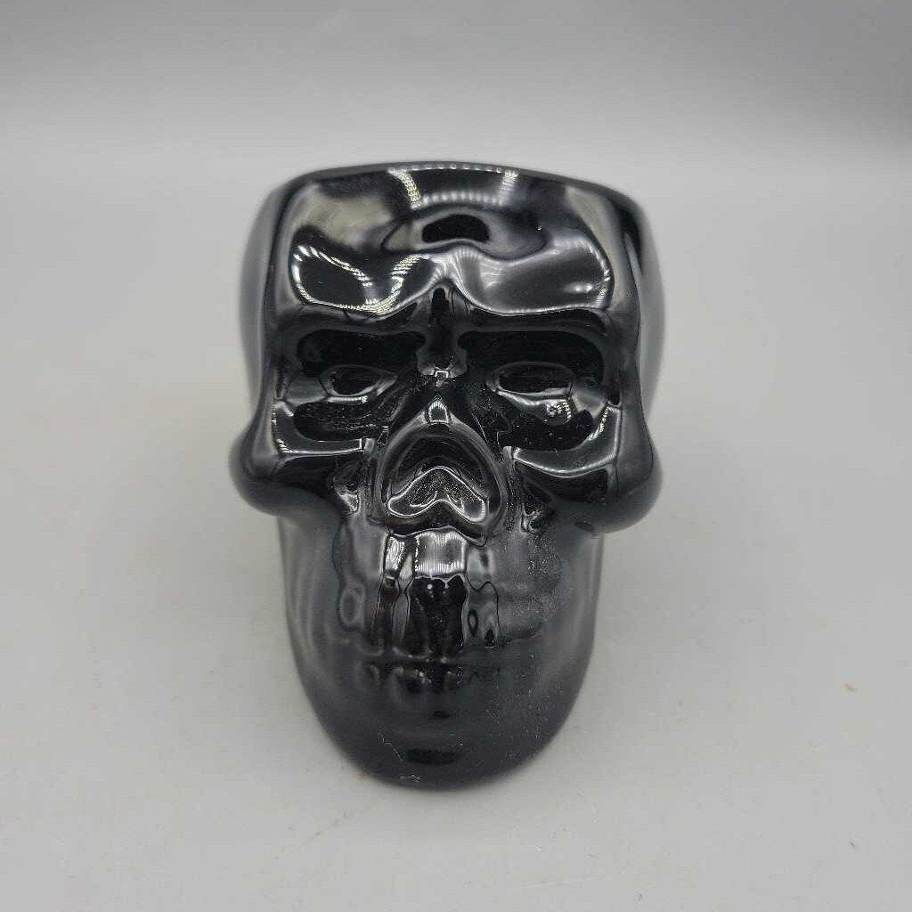 Black Skull Succulent Planter