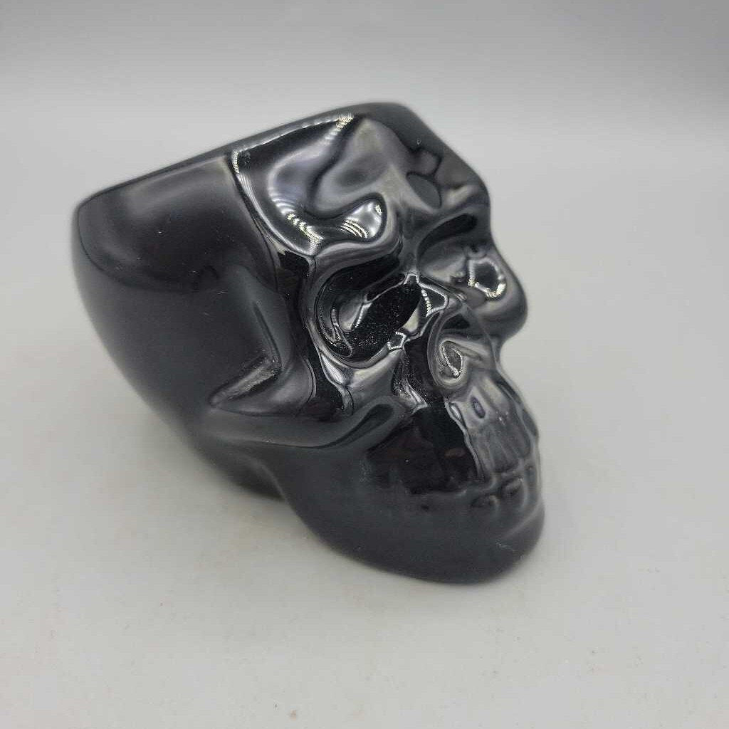 Black Skull Succulent Planter