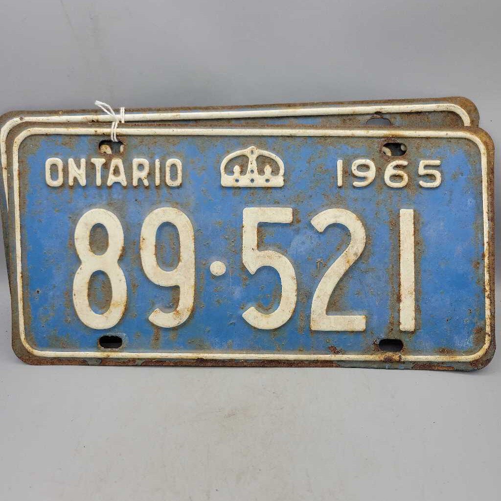 Ontario License plates Pair 1965 89 521 (DEB)