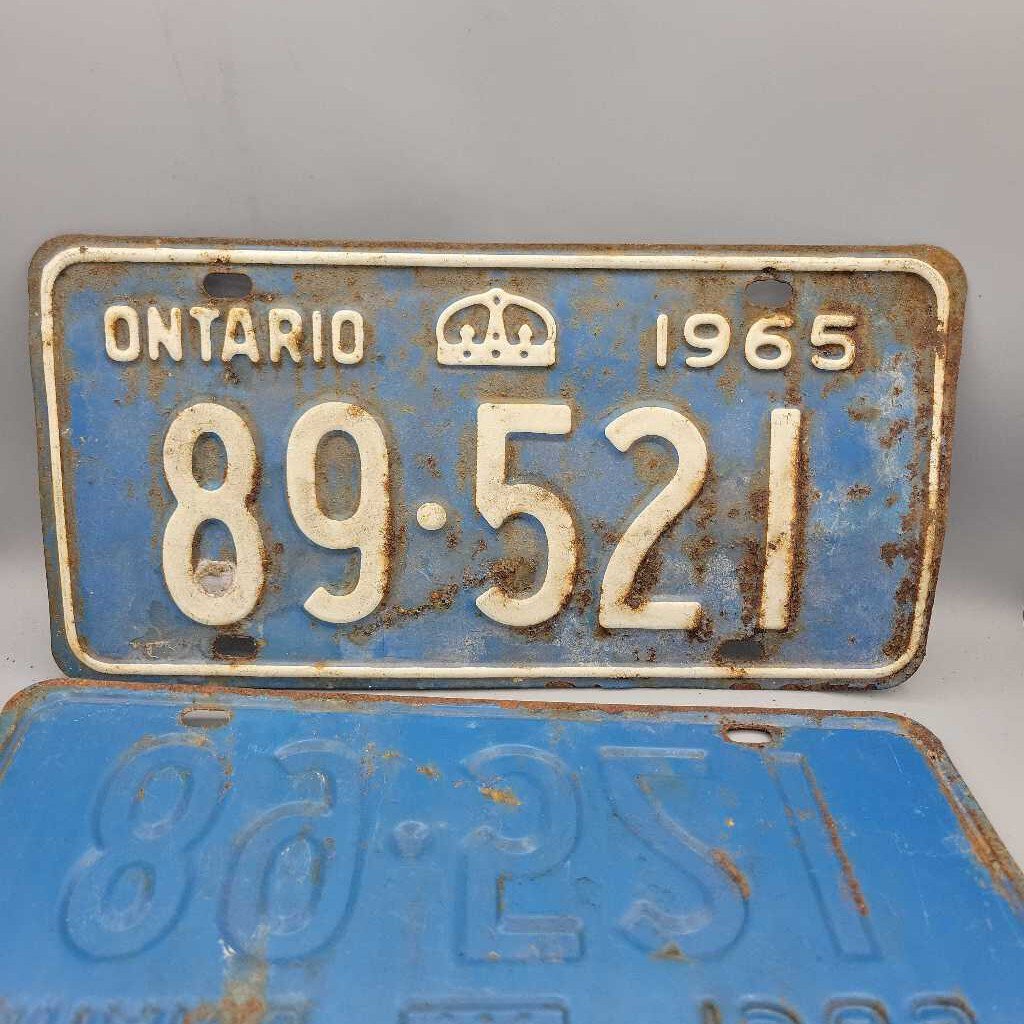 Ontario License plates Pair 1965 89 521 (DEB)