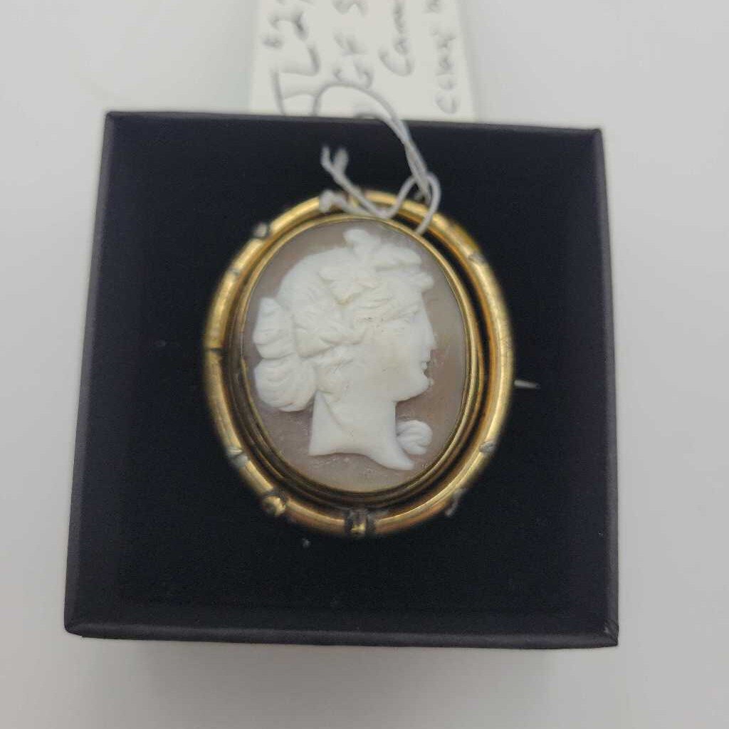 JL GF Shell Cameo Brooch/c-clasp JL GF Shell Cameo Brooch/c-clasp