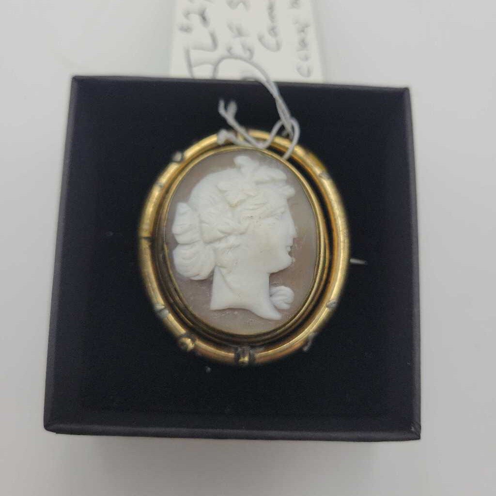 JL GF Shell Cameo Brooch/c-clasp