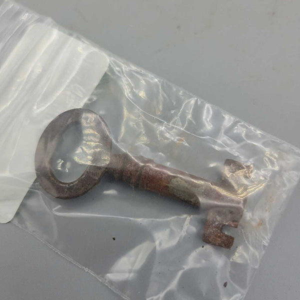 Antique Skeleton Key (JAS)