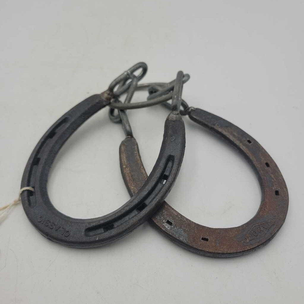 Horseshoe Puzzle (GEC)