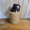 1 gallon Crown Pottery Jug (JAS)