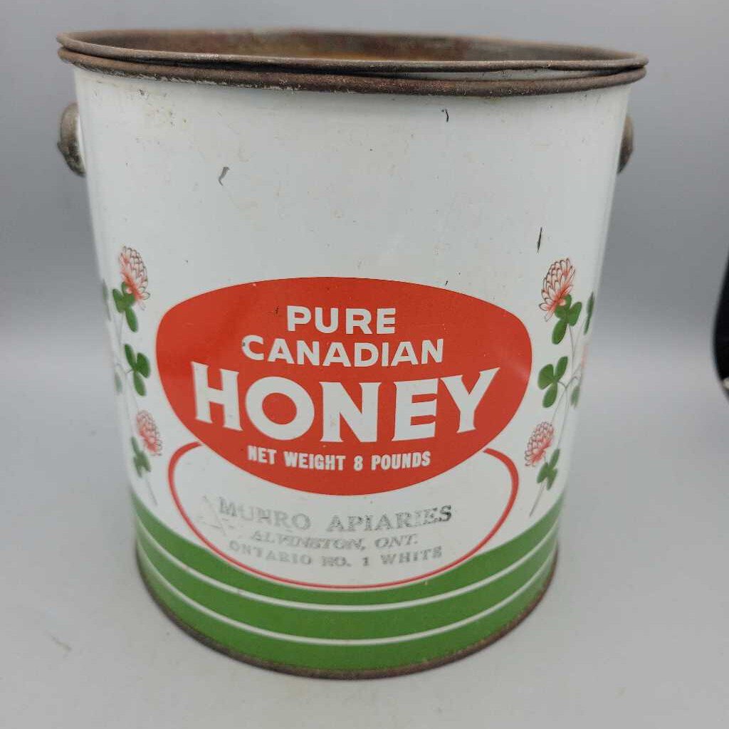 Pure Canadian Honey Tin Pail Alvinston Ontario 8 lbs (JAS)