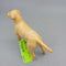 Beswick Labrador Dog (DEB)