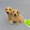 Beswick Dogs pair Labrador (DEB)