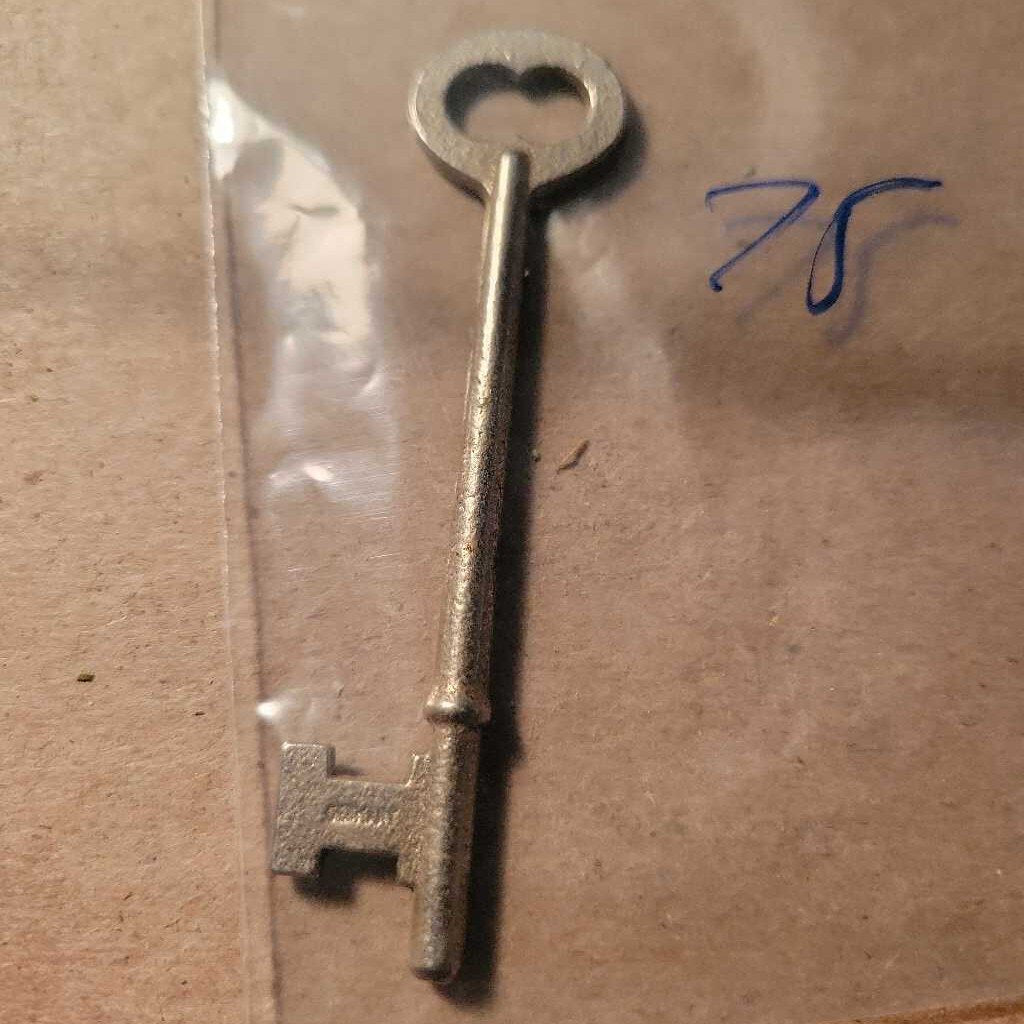 skeleton key cut (JAS)