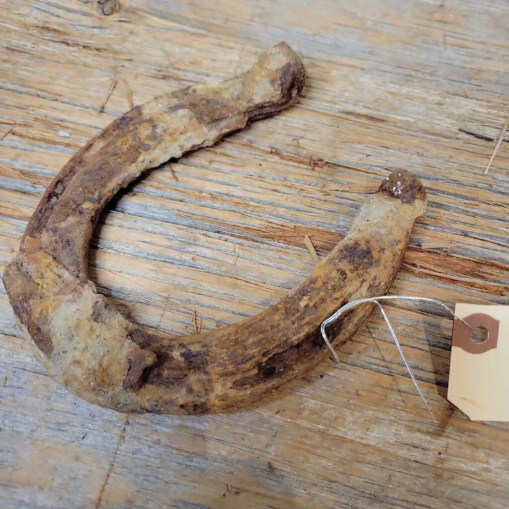 Antique Horse shoe (JAS)