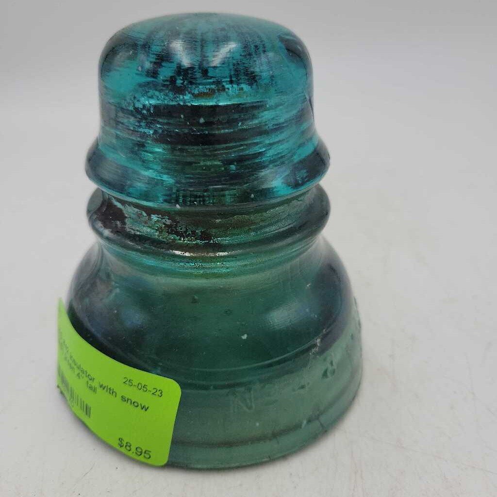 #42 Insulator with snow (JAS)