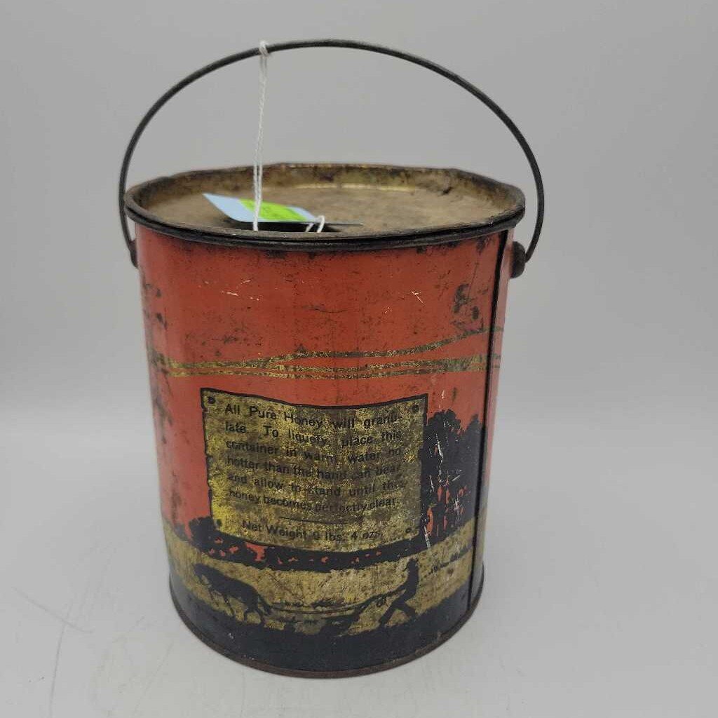 9 lb 4 oz Honey Tin Pail Port Burwell On. (DR)
