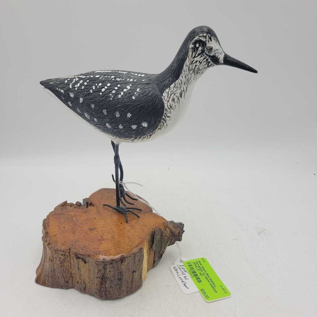 Shore Bird Solitary Sandpiper by Norm Leedham (RHA)